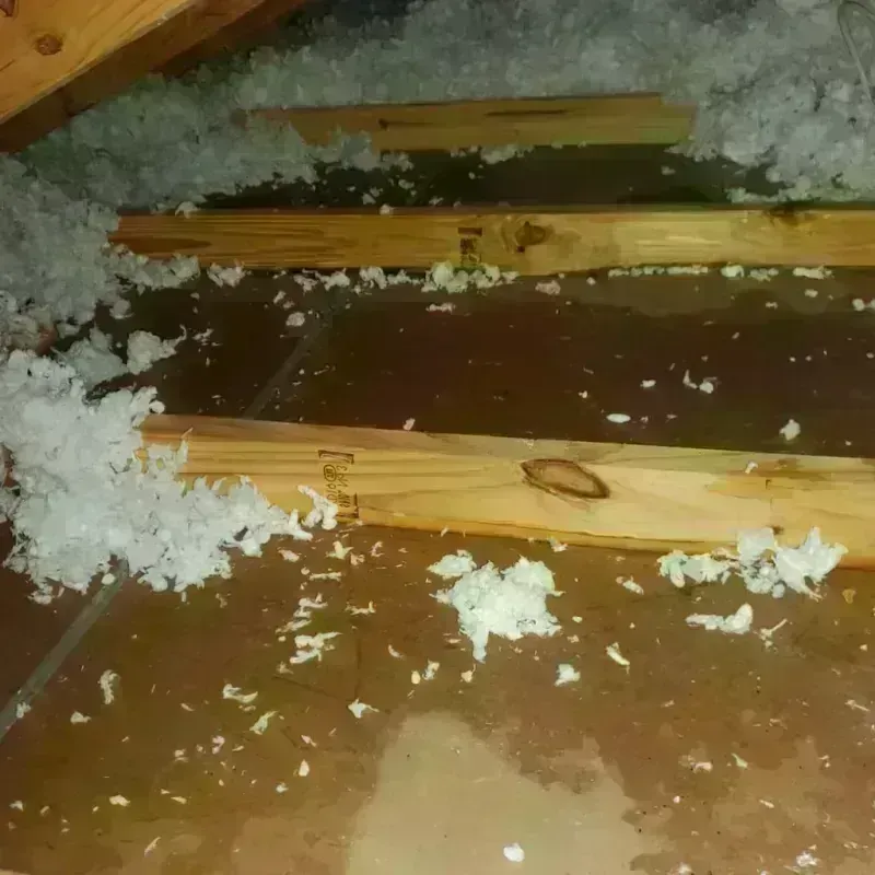 Attic Water Damage in Newcastle, CA