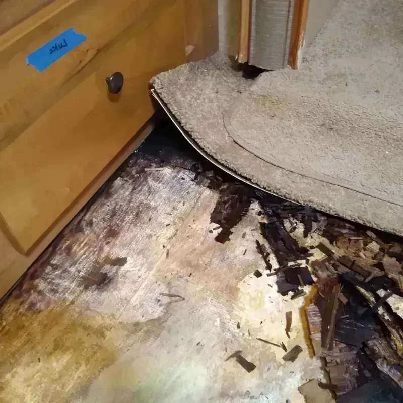 Wood Floor Water Damage in Newcastle, CA